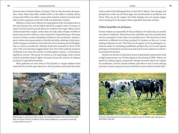Produktbild: Teaming with Microbes