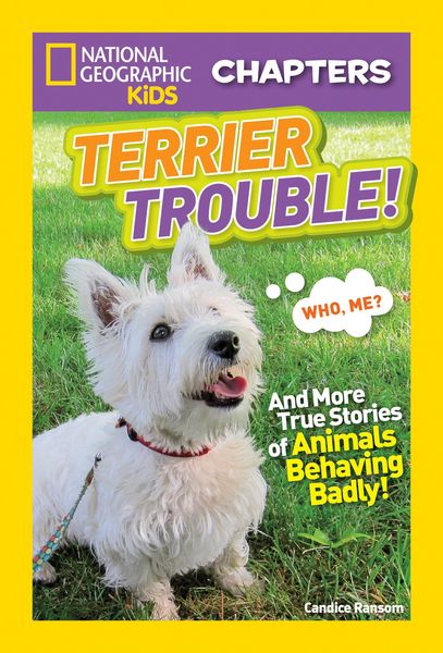 Produktbild: Ransom, C: Terrier Trouble!