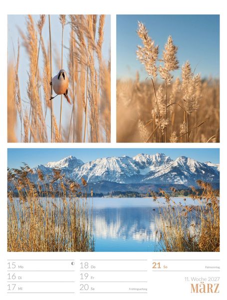 Produktbild: Farben der Natur Wochenplaner Kalender 2027