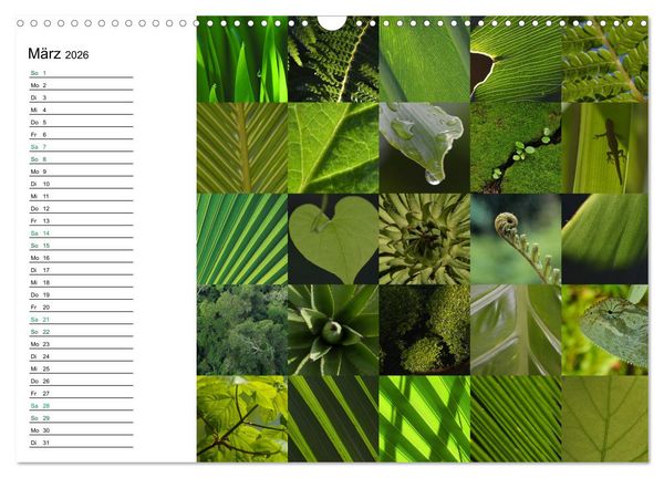 Produktbild: Farbenkaleidoskop (Wandkalender 2026 DIN A3 quer), CALVENDO Monatskalender