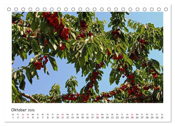 Produktbild: Tor des S&uuml;dens (Tischkalender 2026 DIN A5 quer), CALVENDO Monatskalender