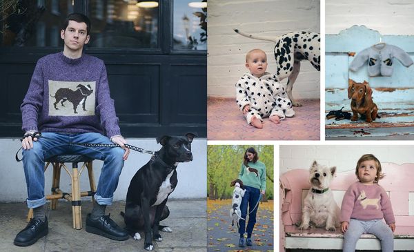 Produktbild: Dogs on Jumpers