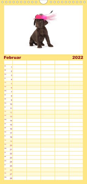 Produktbild: Familienplaner Labrador - Welpen (Wandkalender 2022 , 21 cm x 45 cm, hoch)