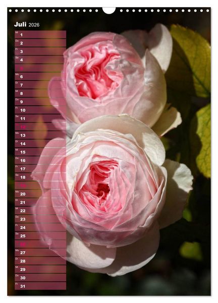 Produktbild: Rosen f&uuml;r DICH / Geburtstagskalender (Wandkalender 2026 DIN A3 hoch), CALVENDO Monatskalender