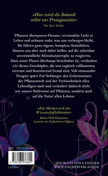 Produktbild: Die Lichtwandler