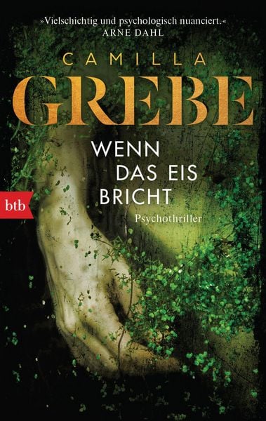 Produktbild: Wenn das Eis bricht