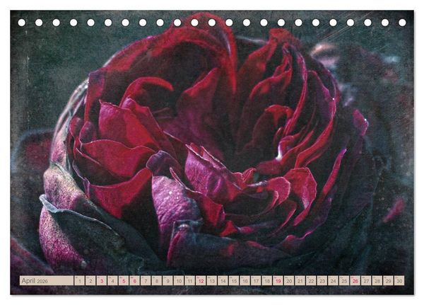 Produktbild: Rosenduft Shabby Chic Style (Tischkalender 2026 DIN A5 quer), CALVENDO Monatskalender