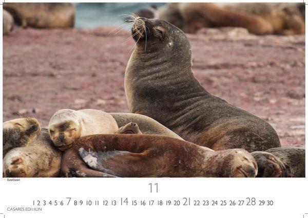 Produktbild: Patagonien Kalender 2027 &ndash; Wandkalender | Fotokalender S&uuml;damerika 35x50cm &ndash; mit beeindruckenden Fotos von Gletschern, Bergen & Wildnis, ideal als Geschenk & Deko