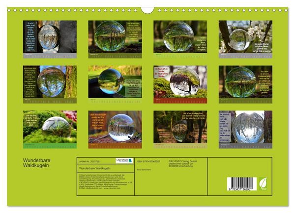 Produktbild: Wunderbare Waldkugeln (Wandkalender 2026 DIN A3 quer), CALVENDO Monatskalender
