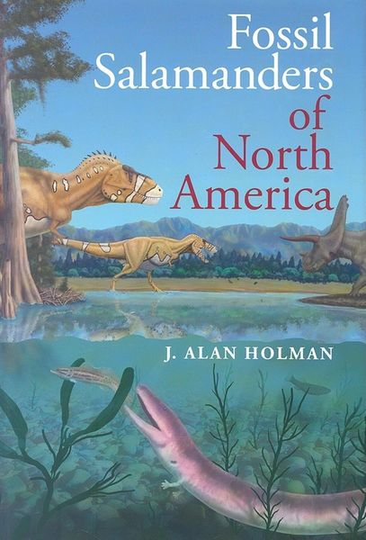 Produktbild: Fossil Salamanders of North America