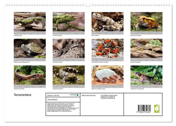 Produktbild: Terrarientiere (hochwertiger Premium Wandkalender 2026 DIN A2 quer), Kunstdruck in Hochglanz