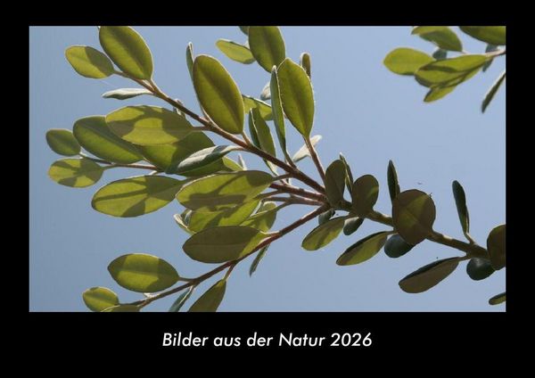 Bilder aus der Natur 2026 Fotokalender DIN A3