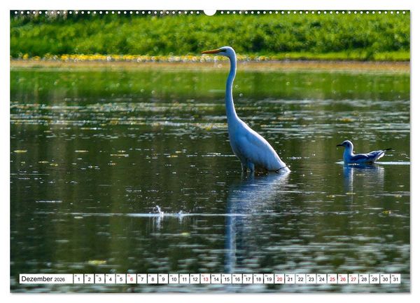 Produktbild: Rund um das Donaudelta (hochwertiger Premium Wandkalender 2026 DIN A2 quer), Kunstdruck in Hochglanz