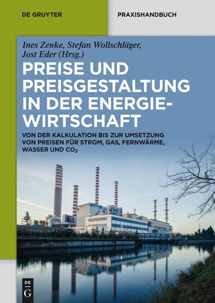 Produktbild: Preise und Preisgestaltung in der Energiewirtschaft