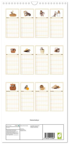 Produktbild: Familienplaner 2026 - Katzenbabys mit 5 Spalten (Wandkalender, 21 x 45 cm) CALVENDO