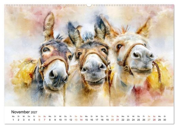 Produktbild: Esel - Wenn Ruhe ein Gesicht h&auml;tte (hochwertiger Premium Wandkalender 2027 DIN A2 quer), Kunstdruck in Hochglanz