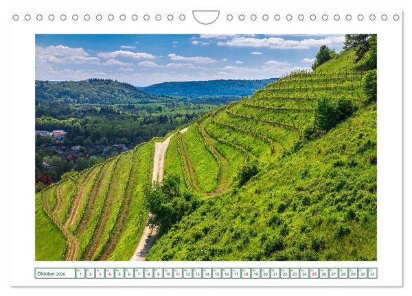 Produktbild: Singen - Hegaus Metropole (Wandkalender 2026 DIN A4 quer), CALVENDO Monatskalender