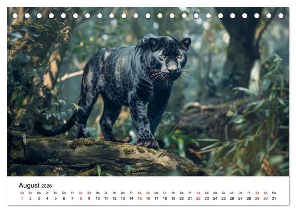 Produktbild: Magische Tierwelt Asiens (Tischkalender 2026 DIN A5 quer), CALVENDO Monatskalender
