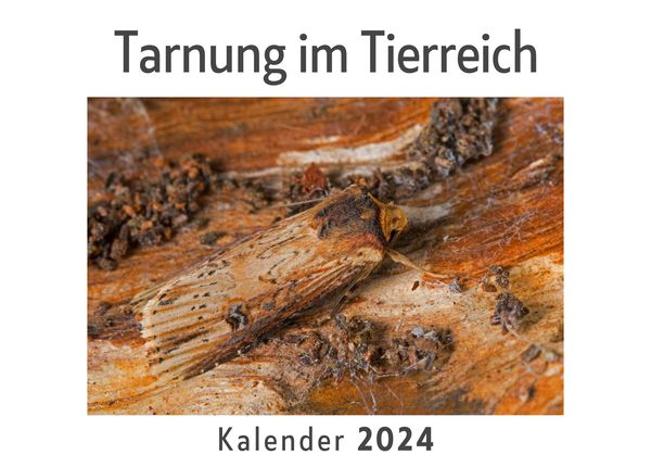 Produktbild: Tarnung im Tierreich (Wandkalender 2024, Kalender DIN A4 quer, Monatskalender im Querformat mit Kalendarium, Das perfekte Geschenk)