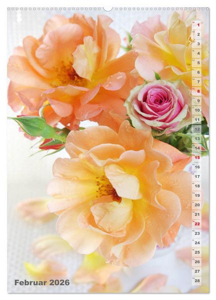 Produktbild: Sch&ouml;nste Rosen (Wandkalender 2026 DIN A2 hoch), CALVENDO Monatskalender