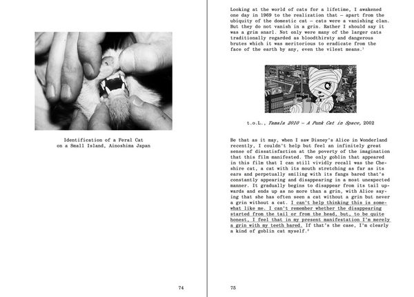 Produktbild: A Grin Without a Cat &ndash; The Very Tale