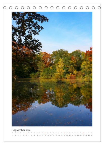 Produktbild: Impressionen aus unserem Wald (Tischkalender 2026 DIN A5 hoch), CALVENDO Monatskalender