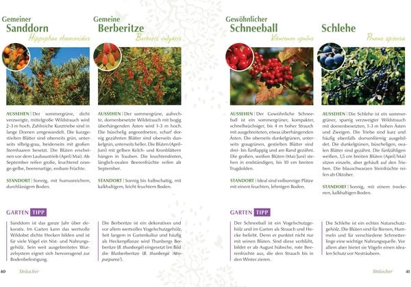 Produktbild: Mein vogelfreundlicher Garten