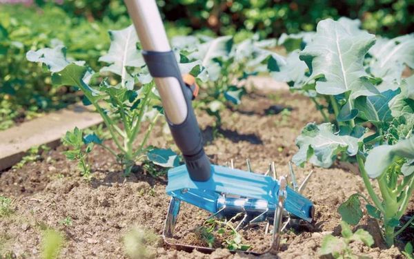 Produktbild: GARDENA combisystem 03195-20 Sternfr&auml;se mit J&auml;temesser 14cm