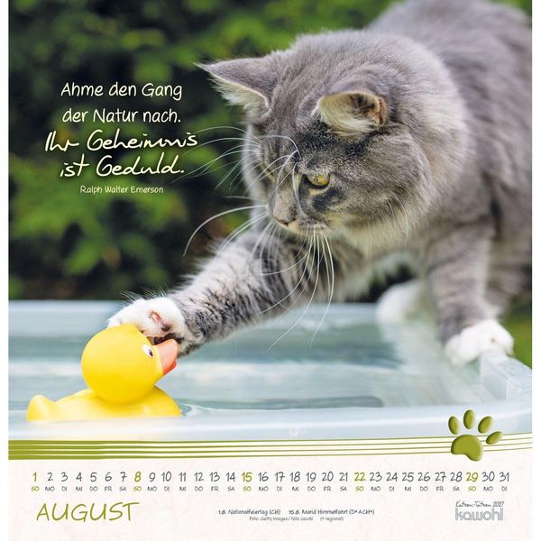 Produktbild: Katzen-Tatzen 2027