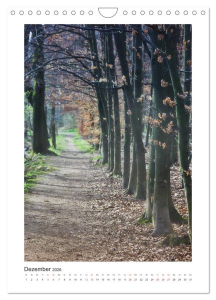 Produktbild: Impressionen aus unserem Wald (Wandkalender 2026 DIN A4 hoch), CALVENDO Monatskalender