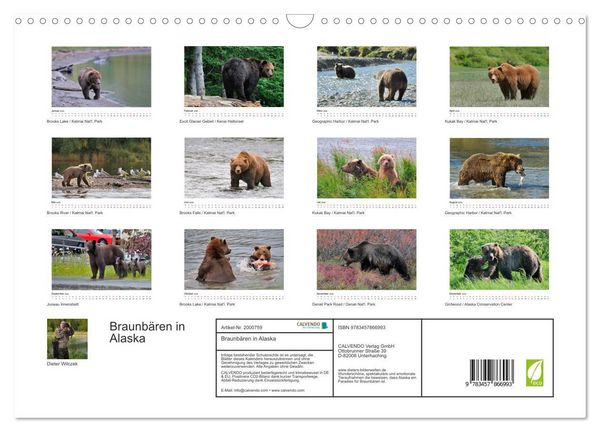 Produktbild: Braunb&auml;ren in Alaska (Wandkalender 2026 DIN A3 quer), CALVENDO Monatskalender