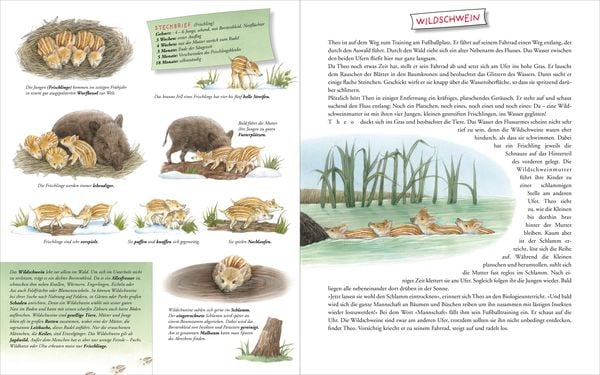 Produktbild: Komm mit zu den Tierkindern!