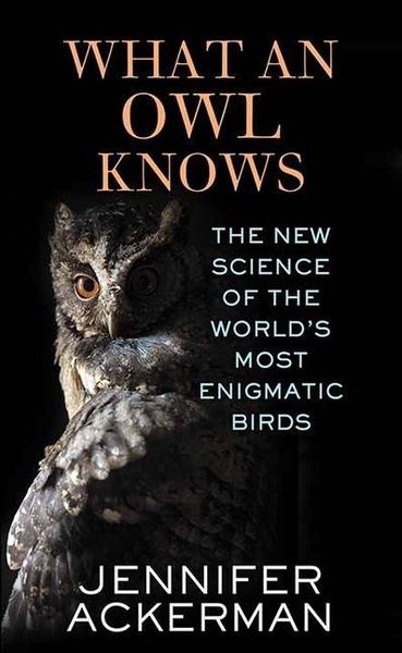 Produktbild: Ackerman, J: What an Owl Knows