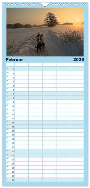 Produktbild: Familienplaner 2026 - Huskies! mit 5 Spalten (Wandkalender, 21 x 45 cm) CALVENDO