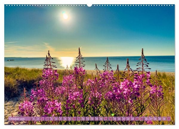 Produktbild: SCHWEDEN wild-romantisch (hochwertiger Premium Wandkalender 2026 DIN A2 quer), Kunstdruck in Hochglanz