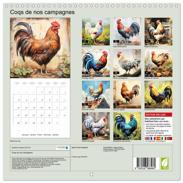 Produktbild: Coqs de nos campagnes (Calendrier mural carr&eacute; 2026 30x30 cm) Calendrier double avec une page pour vos prises de notes