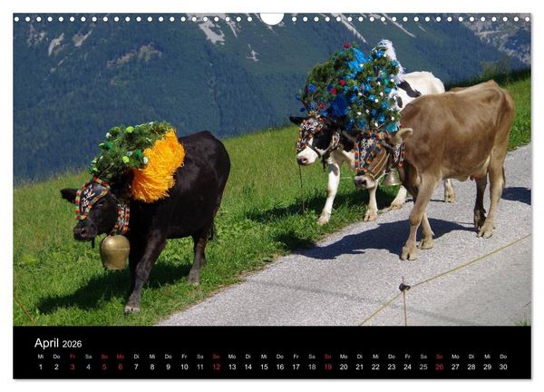 Produktbild: Almabtrieb in Tirol (Wandkalender 2026 DIN A3 quer), CALVENDO Monatskalender