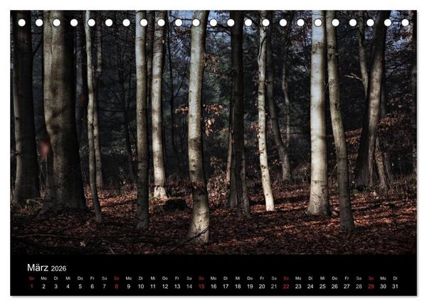 Produktbild: Mystische W&auml;lder (Tischkalender 2026 DIN A5 quer), CALVENDO Monatskalender
