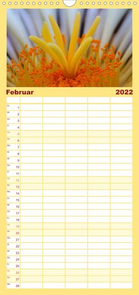 Produktbild: Bl&uuml;tensymphonie - Kakteen und Sukkulenten - Familienplaner hoch (Wandkalender 2022 , 21 cm x 45 cm, hoch)