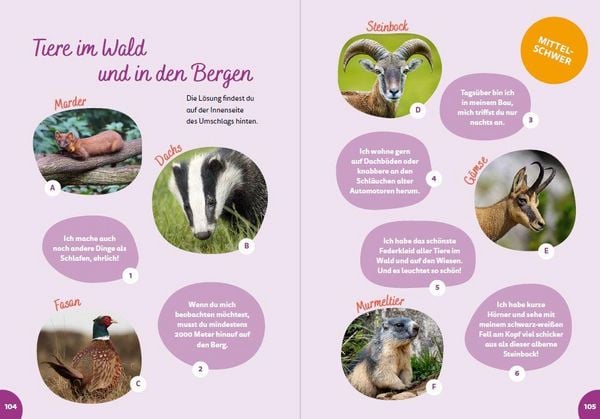 Produktbild: &Ouml;sterreich for kids