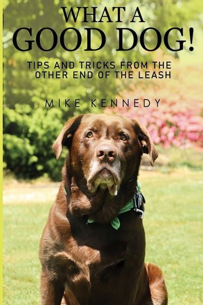 Produktbild: What a Good Dog! Tips and Tricks from the Other End of the Leash.