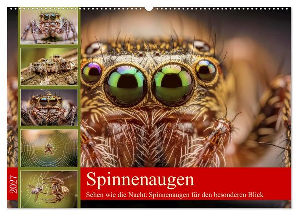 Produktbild: Spinnenaugen (Wandkalender 2027 DIN A2 quer), CALVENDO Monatskalender