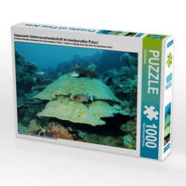 CALVENDO Puzzle Imposante Unterwasserlandschaft im Inselparadies Palau! 1000 Teile Lege-Größe 64 x 48 cm Foto-Puzzle Bild von Ute Niemann
