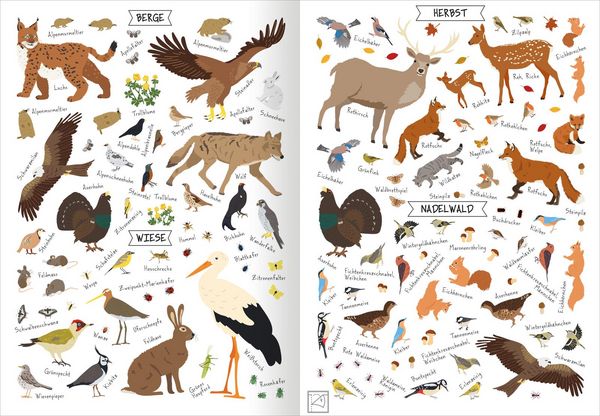 Produktbild: Naturforscher-Kids &ndash; Stickerheft Heimische Tierwelt