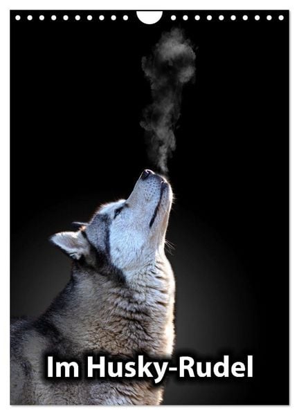 Im Husky-Rudel (Wandkalender 2026 DIN A4 hoch), CALVENDO Monatskalender