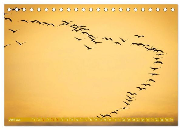 Produktbild: Farben und Muster der Erde (Tischkalender 2026 DIN A5 quer), CALVENDO Monatskalender