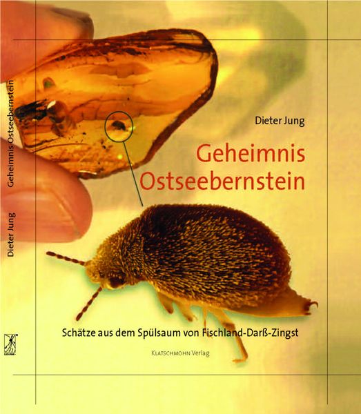 Produktbild: Geheimnis Ostseebernstein