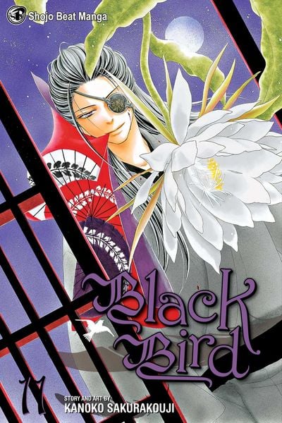 Produktbild: Black Bird, Vol. 11