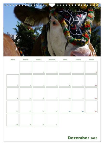 Produktbild: Kuhle K&uuml;he 2026 (Wandkalender 2026 DIN A3 hoch), CALVENDO Monatskalender