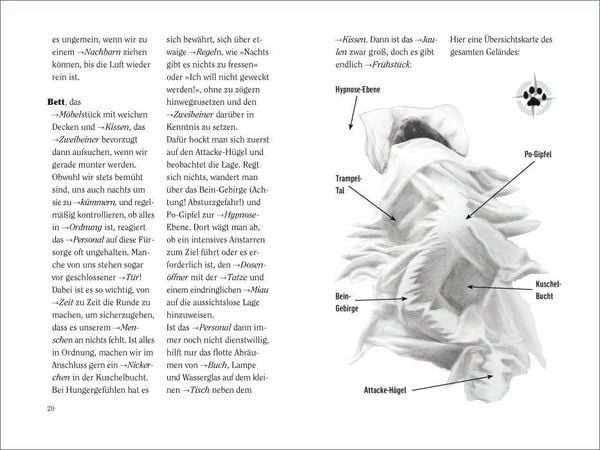 Produktbild: Wie wir Katzen die Welt sehen